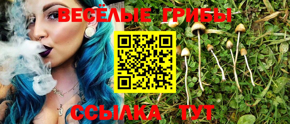 где можно купить   Псилоцибиновые грибы мухоморы  Вход с VPN  Казань 